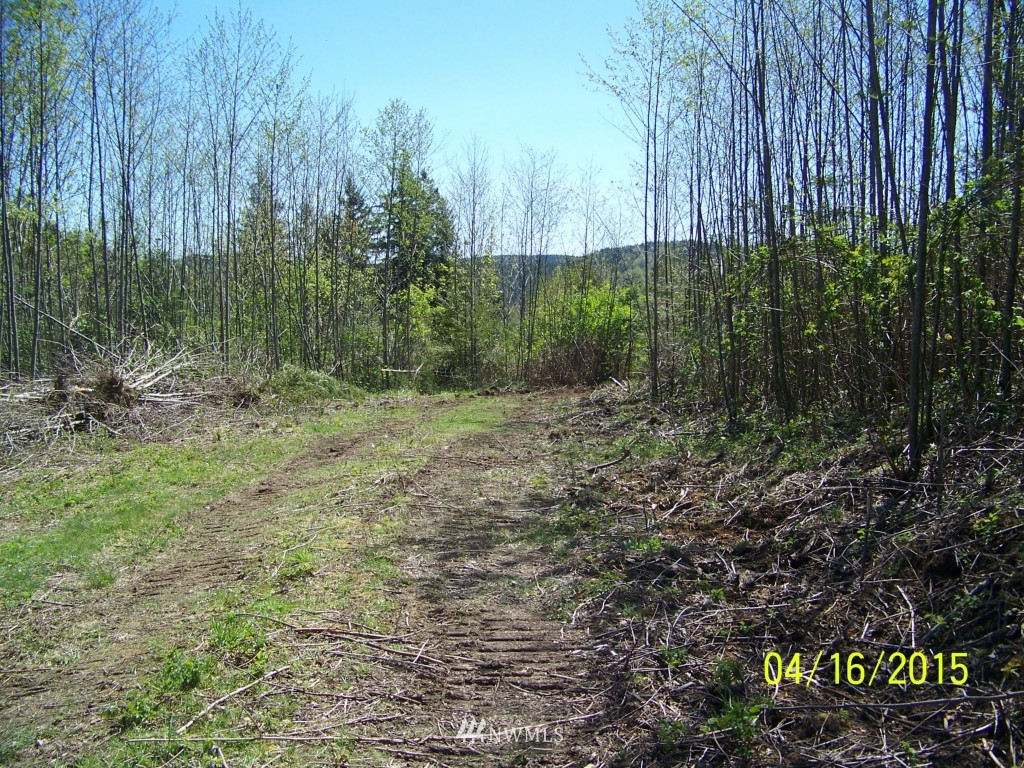 5 Wigley Road Southeast Centralia, WA 98531 - Photo 7 of 16 Gallery Image 7