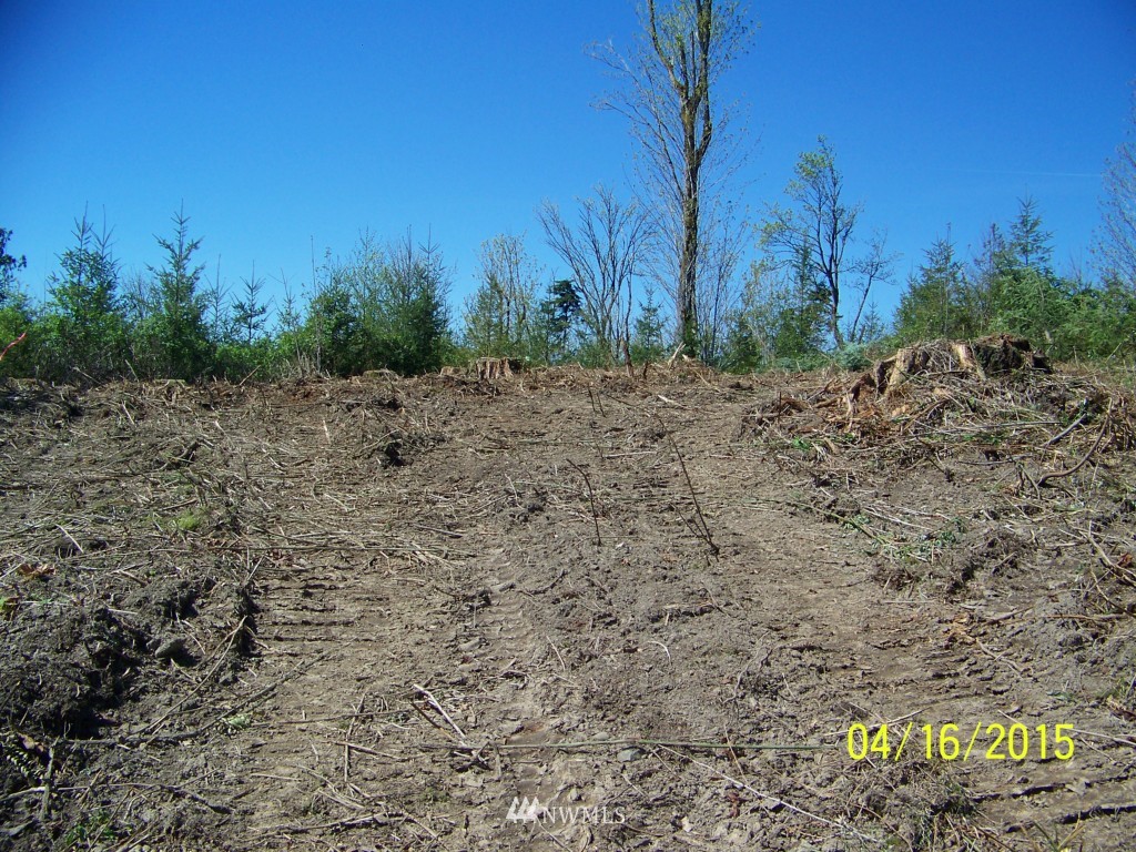 5 Wigley Road Southeast Centralia, WA 98531 - Photo 8 of 16 Gallery Image 8