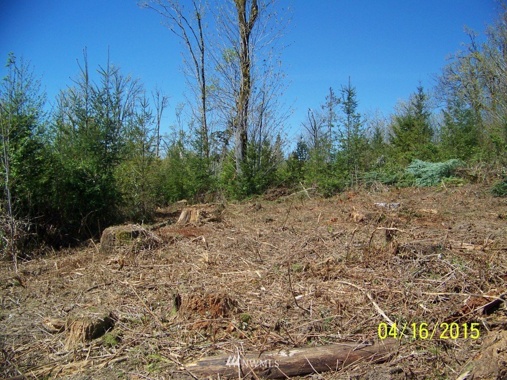 5 Wigley Road Southeast Centralia, WA 98531 - Photo 10 of 16 Gallery Image 10