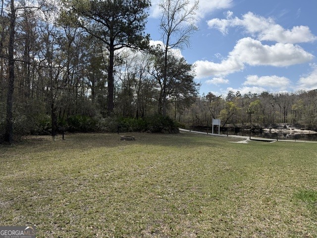 140 Josh And Scott Way Folkston, GA 31537 - Photo 9 of 31