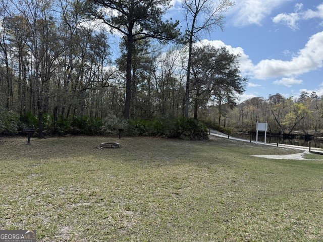 140 Josh And Scott Way Folkston, GA 31537 - Photo 10 of 31