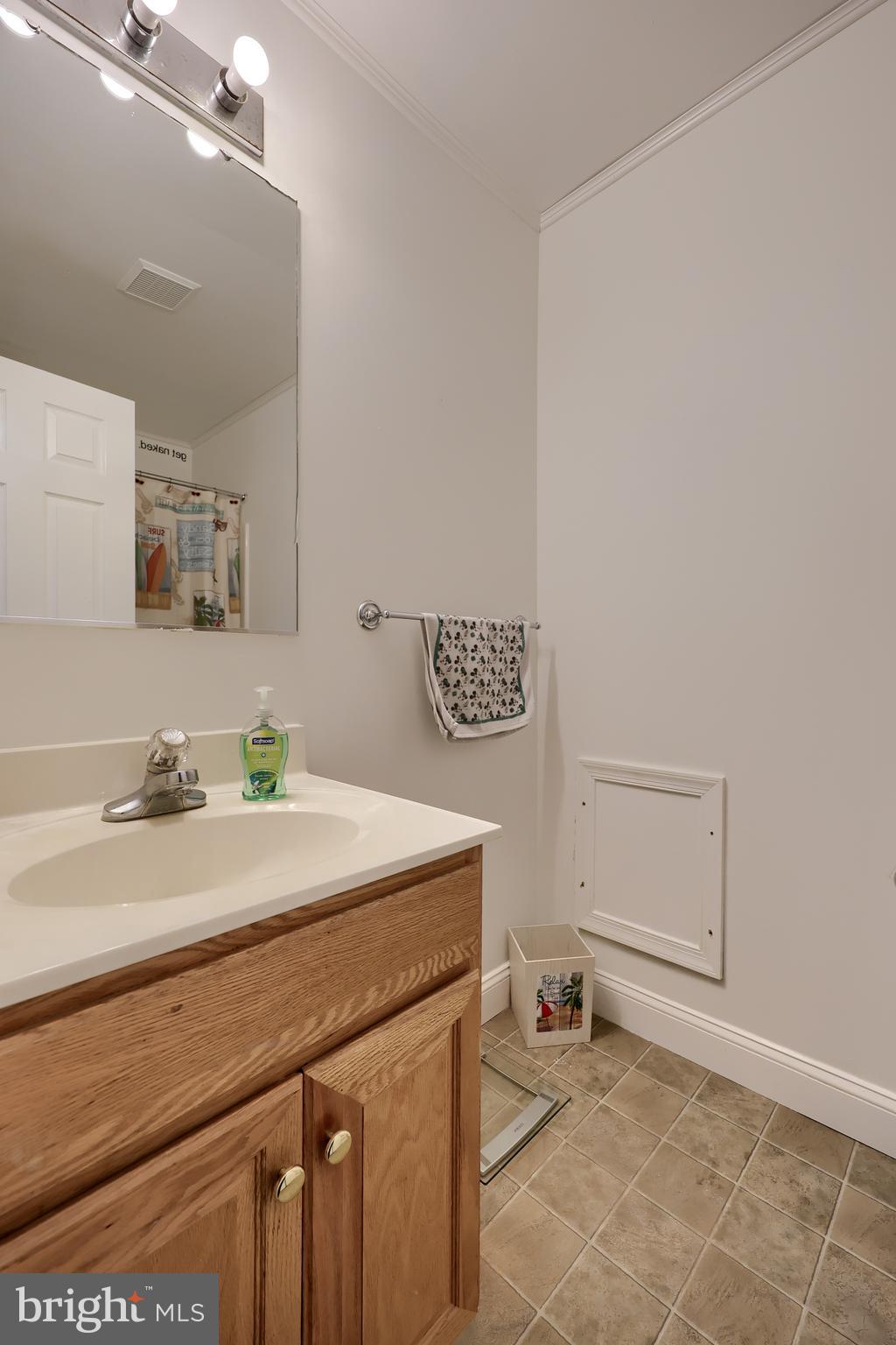 216 Nicole Way Sinking Spring, PA 19608 - Photo 26 of 35 a bathroom with a sink a vanity and a toilet