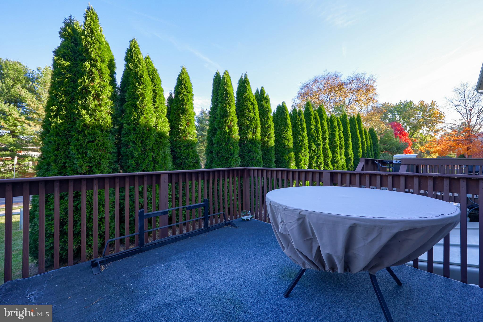216 Nicole Way Sinking Spring, PA 19608 - Photo 6 of 35 a view of a chairs and table in the roof deck