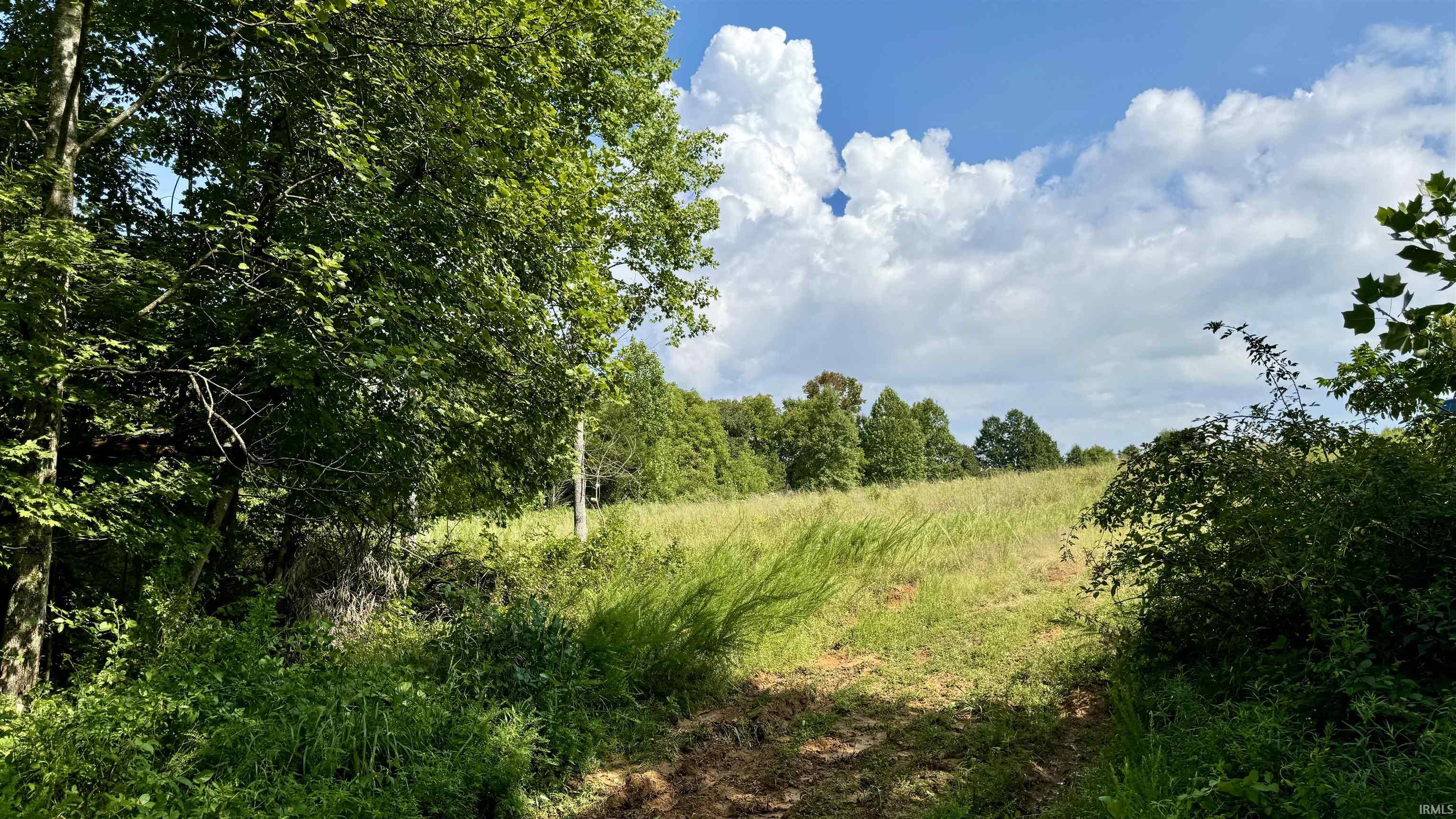 Off Yockey Road Mitchell, IN 47446 - Photo 10 of 16 Gallery Image 10