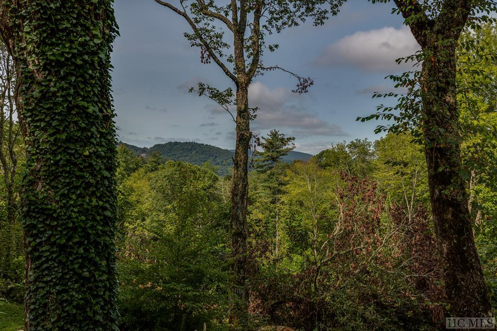 525 Satulah Road Highlands, NC 28741 - Photo 56 of 57 Gallery Image 56