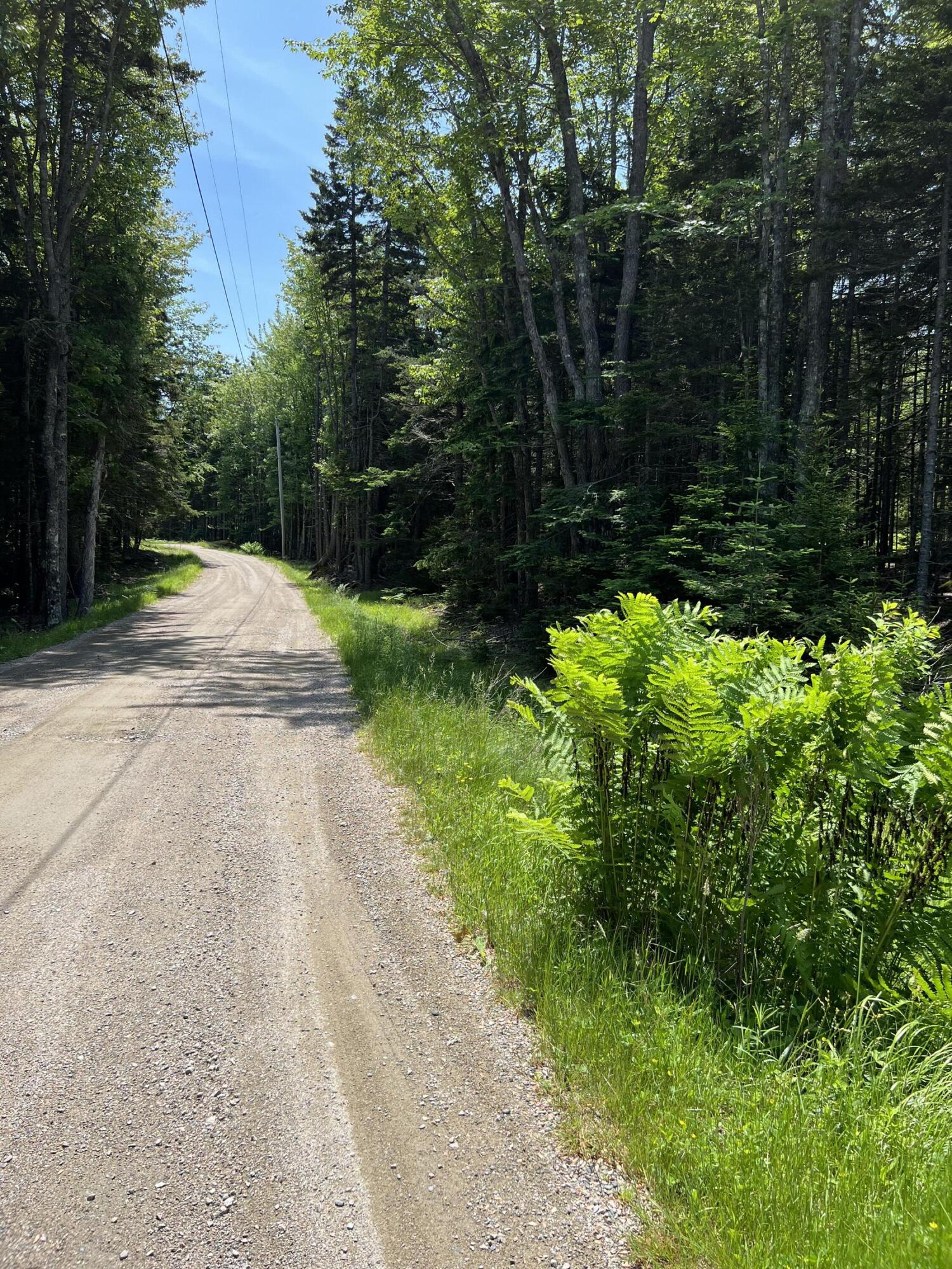 45 Goose Pond Road Swans Island, ME 04685 - Photo 12 of 44 Beautiful Island Lot for Sale