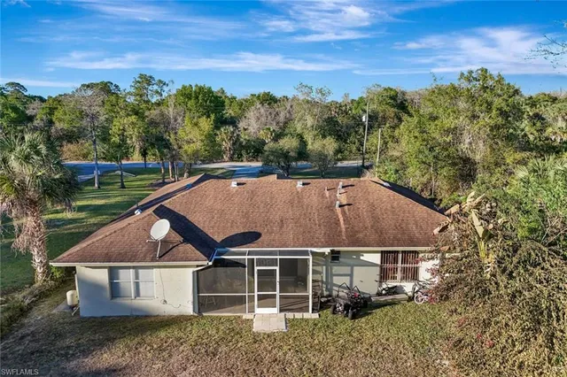 a view of a forest with a tree