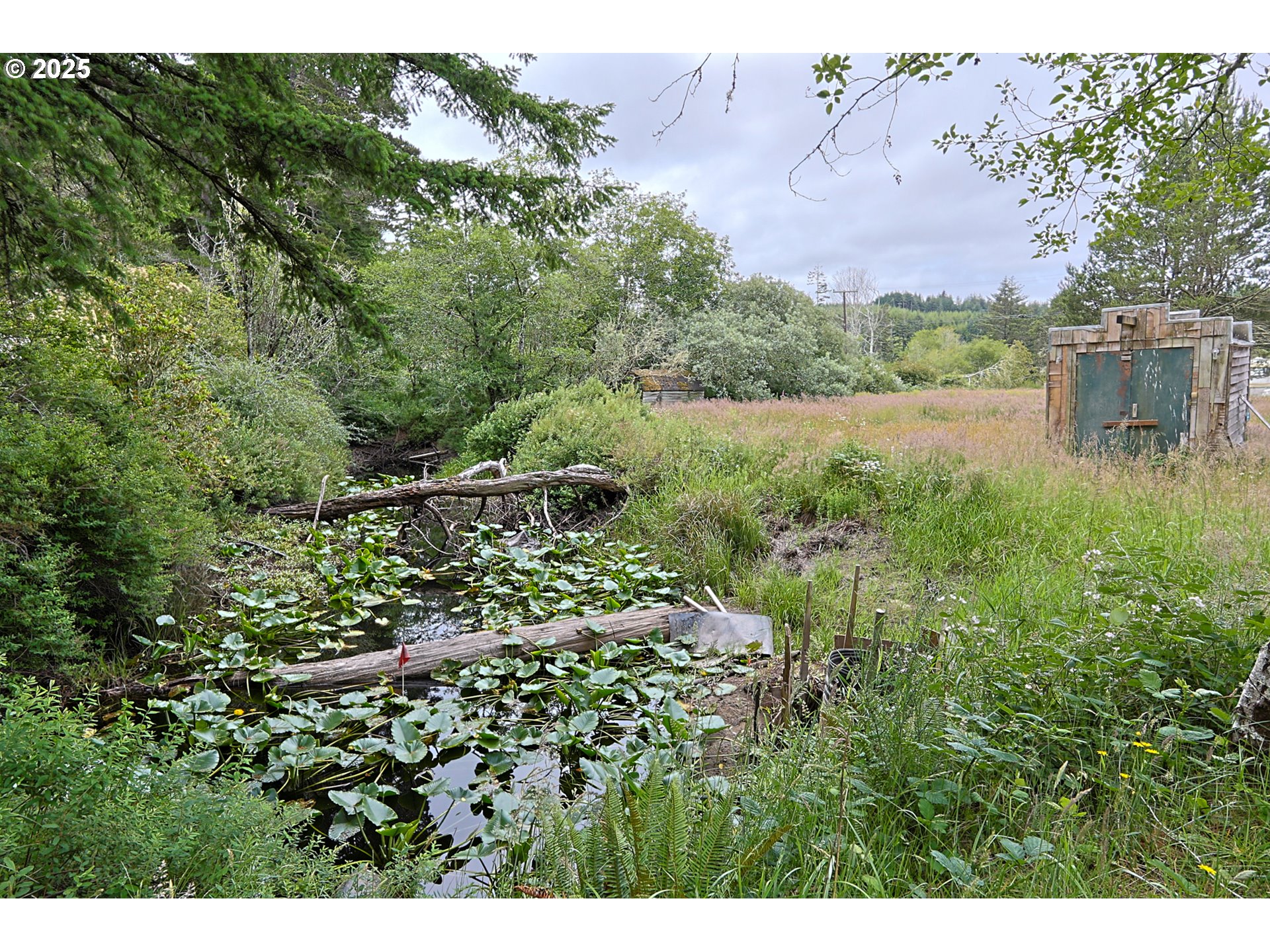 94845 Wind Song Lane North Bend, OR 97459 - Photo 8 of 24