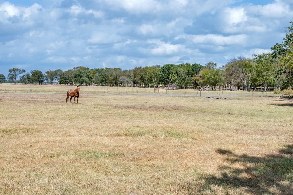 800 County Road 2807 Mabank, TX 75147 - Photo 5 of 39 a view of outdoor space with river and trees