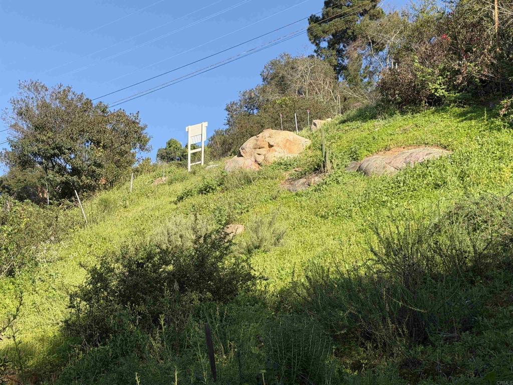9542 Ridgecrest Drive La Mesa, CA 91941 - Photo 1 of 11 a view of a garden with plants