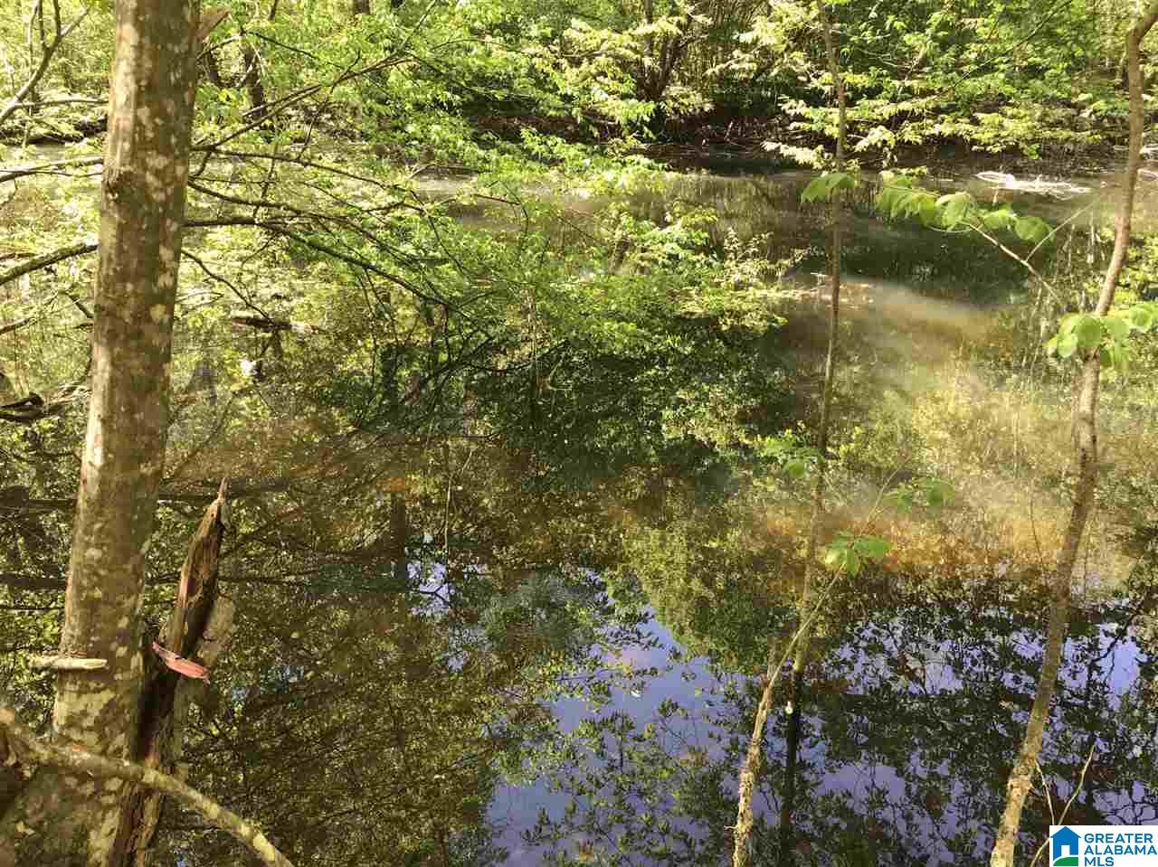 0 Acton Road, Unit 53 ACRE Moody, AL 35004 - Photo 23 of 33 Gallery Image 23