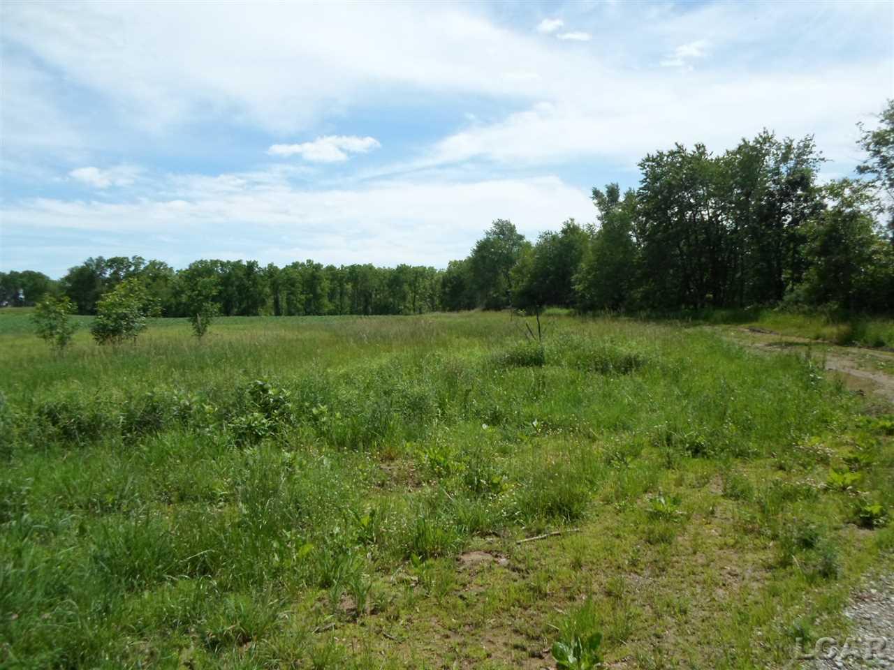 12000 Stephenson Road, Unit PARCEL A Brooklyn, MI 49230 - Photo 7 of 49