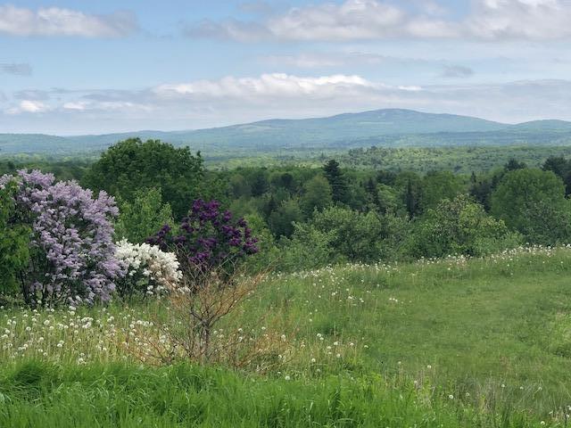 58 Rabbit Hill Road Winterport, ME 04496 - Photo 12 of 17 IMG_0506