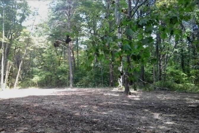 2265 Bethel Ridge Road Beaver, OH 45613 - Photo 12 of 18 2364AEE6-58CD-4B22-B310-63CE9ECAC2E4