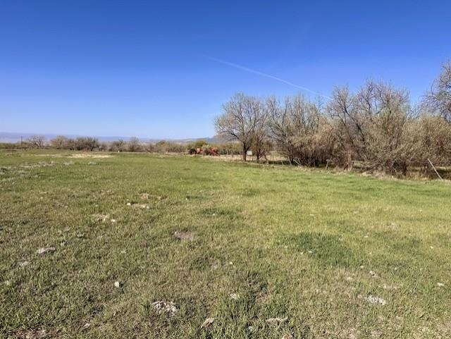 1010 Southwest 11th Avenue Cedaredge, CO 81413 - Photo 12 of 28
