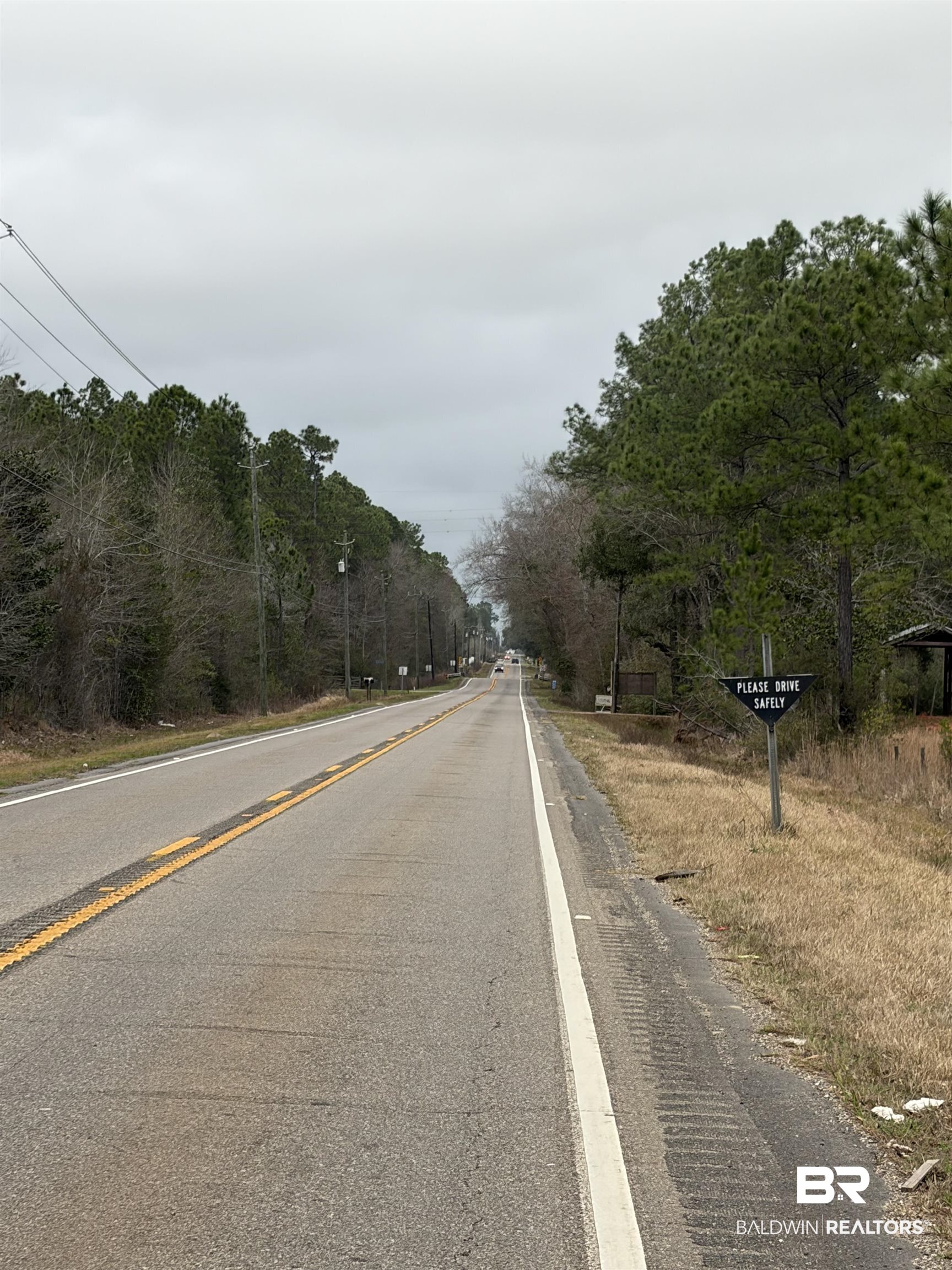 10585 Bellingrath Road Theodore, AL 36582 - Photo 13 of 14 View of asphalt street