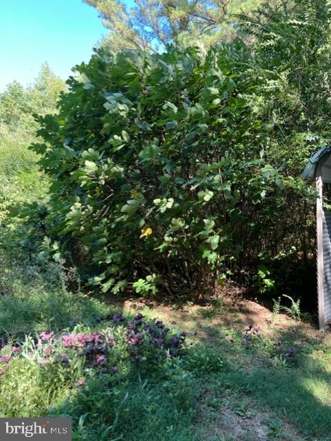 612 Snow Hill Road Stockton, MD 21864 - Photo 15 of 19