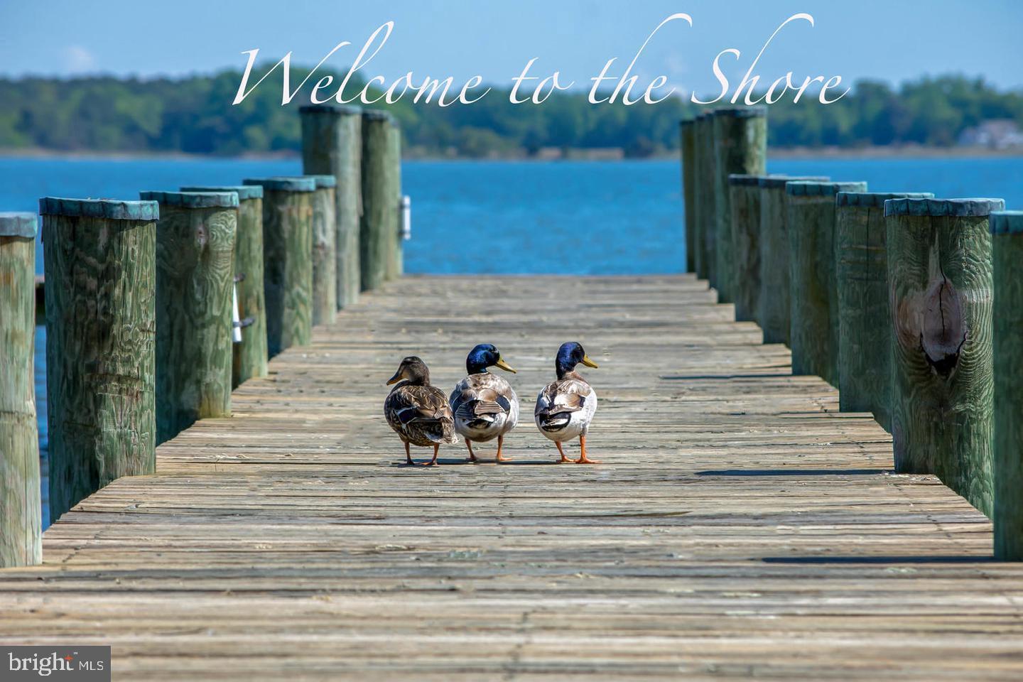 1109 Grasonville Cemetery Road Grasonville, MD 21638 - Photo 37 of 39 a view of a entryway door