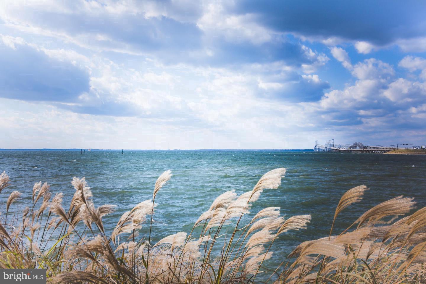 1109 Grasonville Cemetery Road Grasonville, MD 21638 - Photo 38 of 39 a view of lake