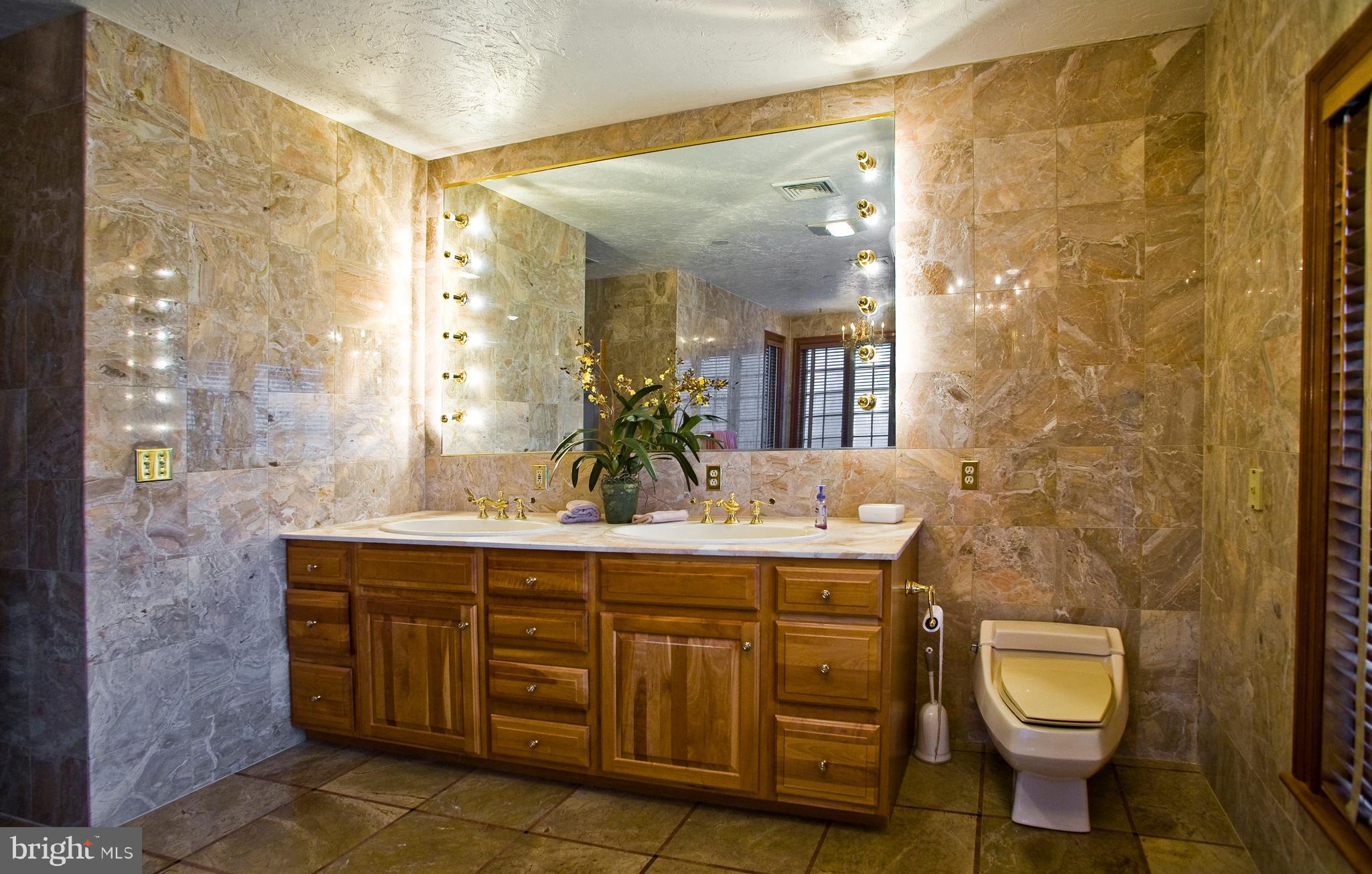 1248 Cherry Grove Road Earleville, MD 21919 - Photo 19 of 41 Marble Master Bathroom