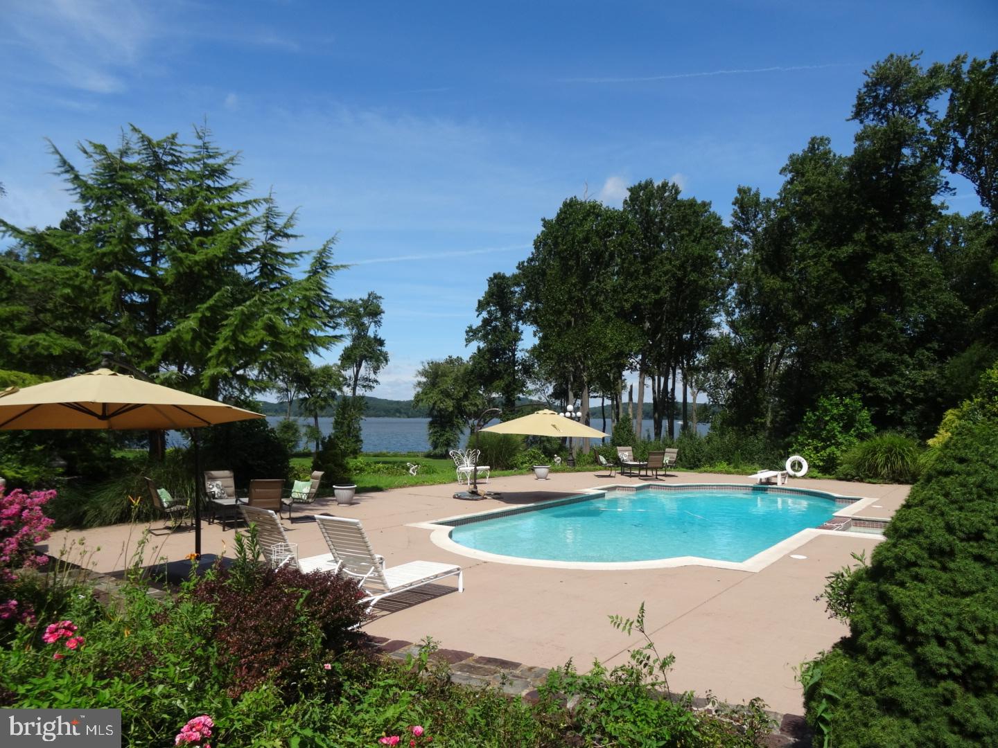 1248 Cherry Grove Road Earleville, MD 21919 - Photo 34 of 41 Private Pool on waterside