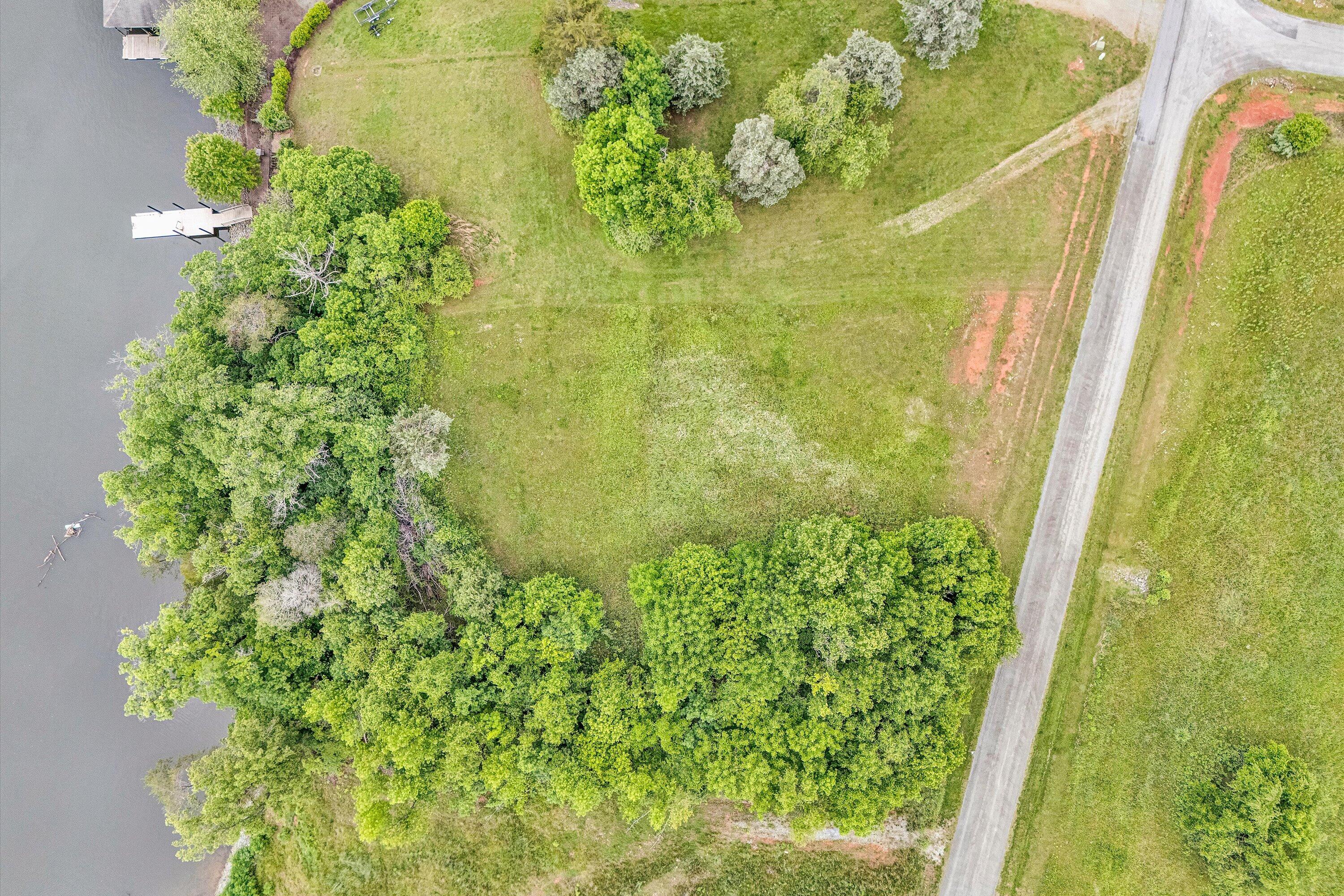 Lot 10 Augusta Way Wirtz, VA 24184 - Photo 3 of 9 a close up of a plant in a garden