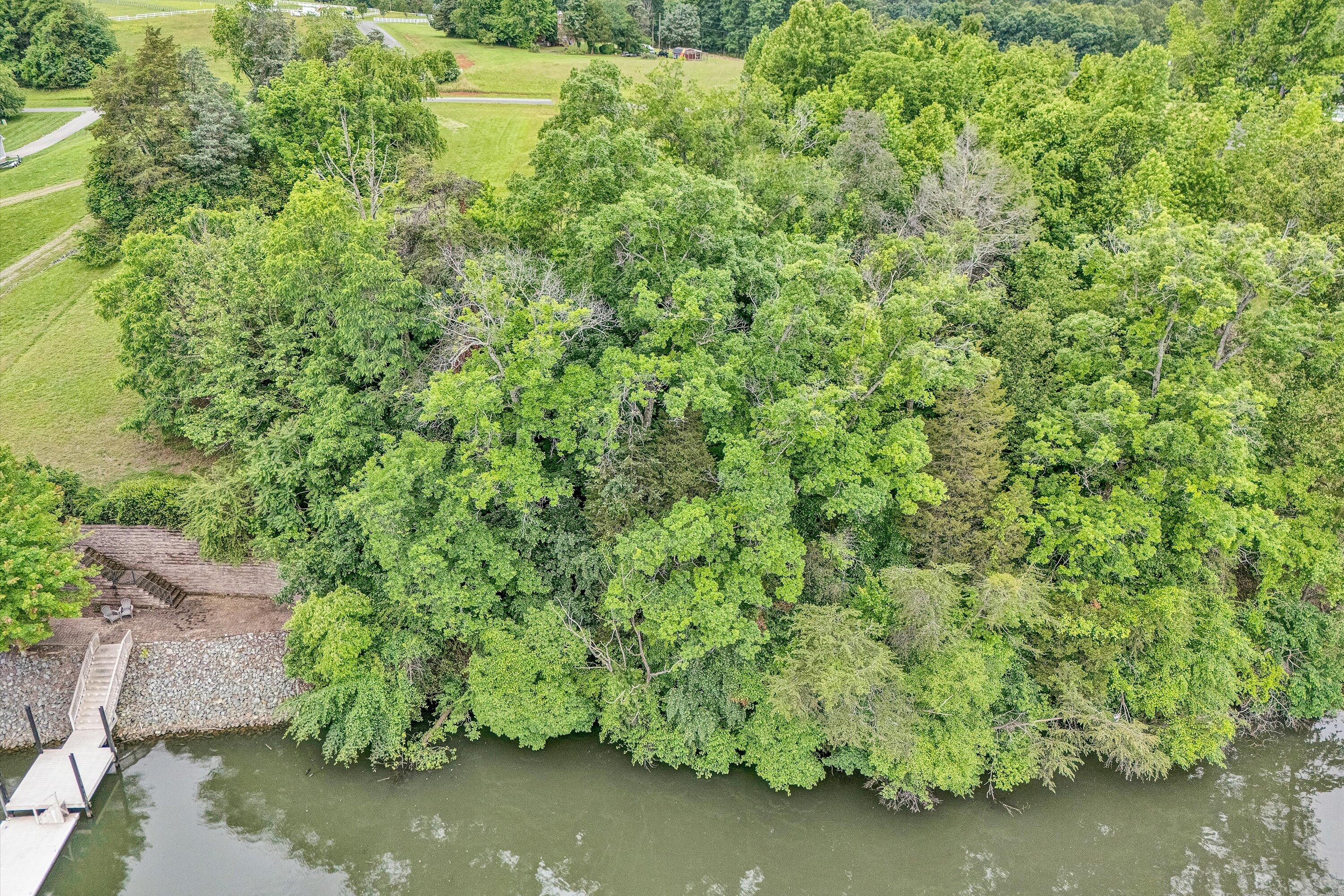 Lot 10 Augusta Way Wirtz, VA 24184 - Photo 6 of 9 a view of a yard with a tree