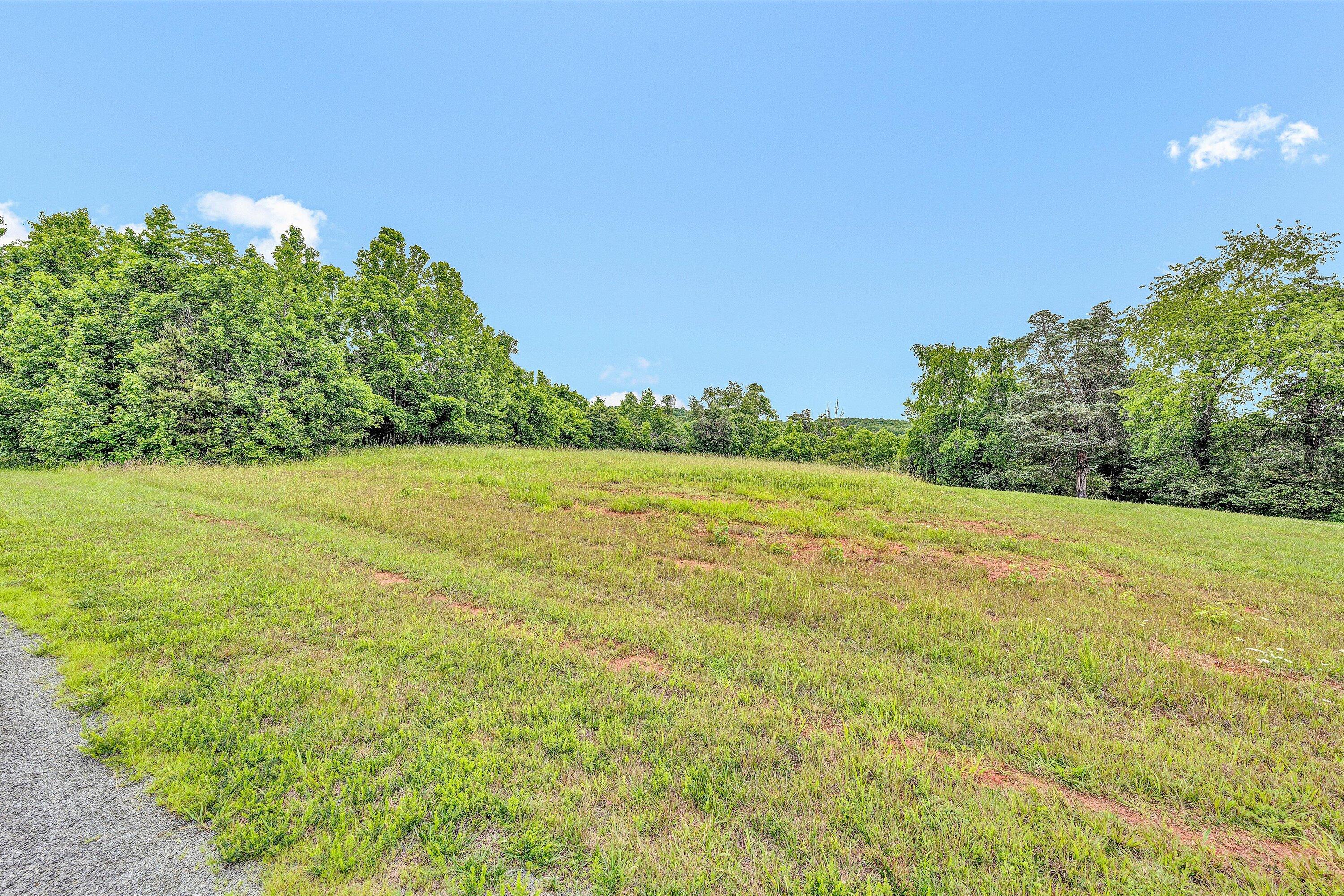 Lot 10 Augusta Way Wirtz, VA 24184 - Photo 7 of 9 a view of a field with an trees in the background