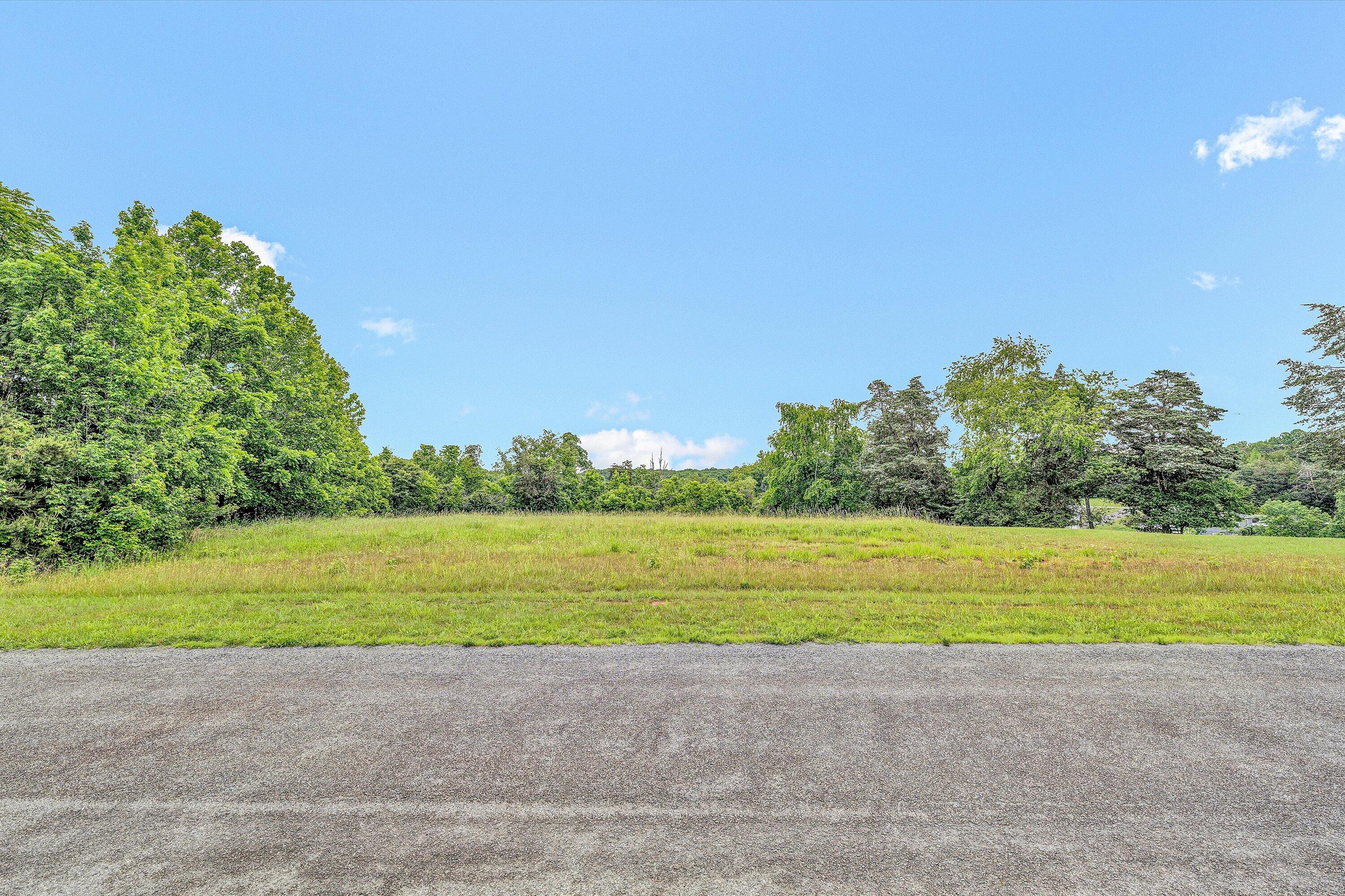 Lot 10 Augusta Way Wirtz, VA 24184 - Photo 8 of 9 a view of a park