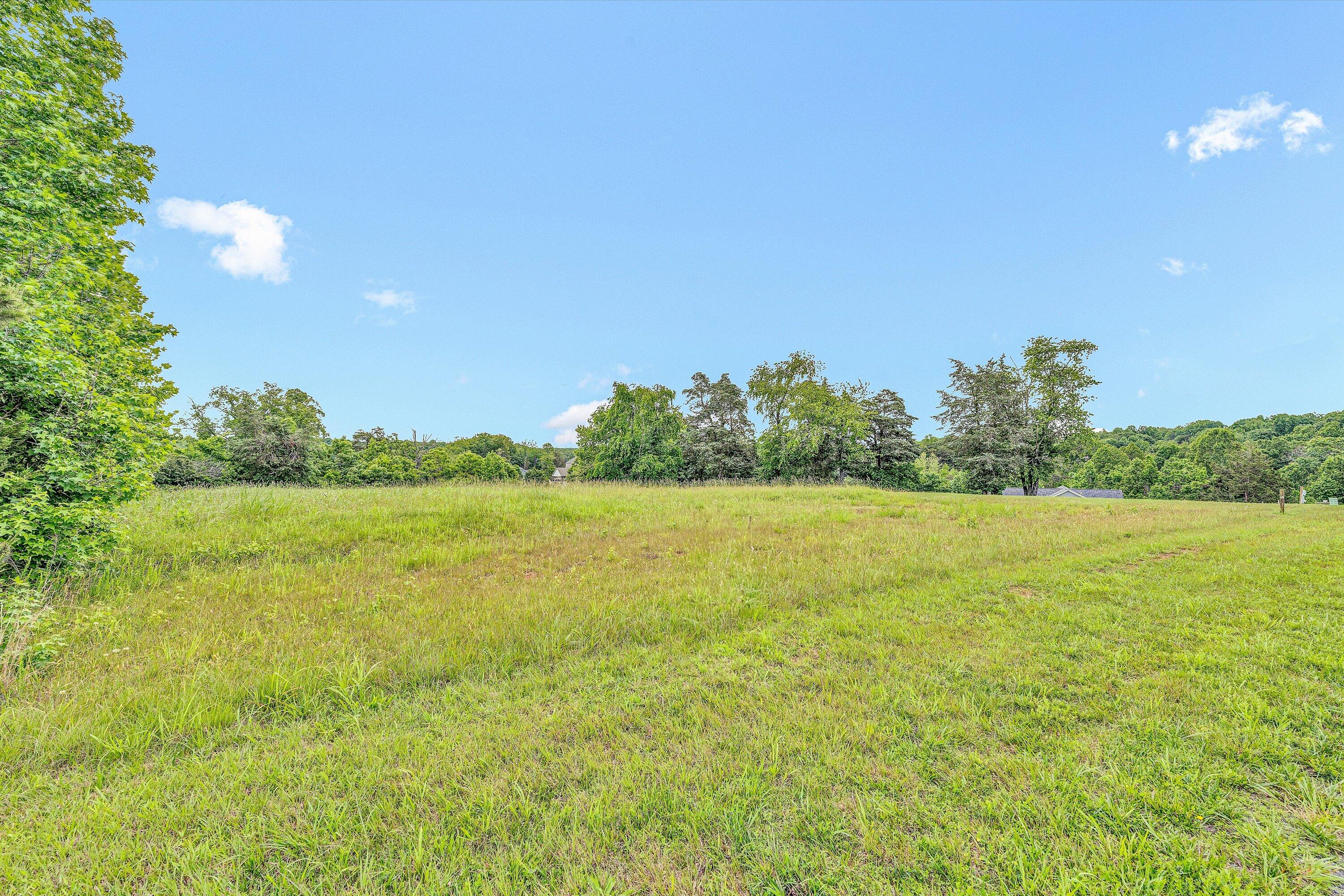 Lot 10 Augusta Way Wirtz, VA 24184 - Photo 9 of 9 a view of an ocean and a yard