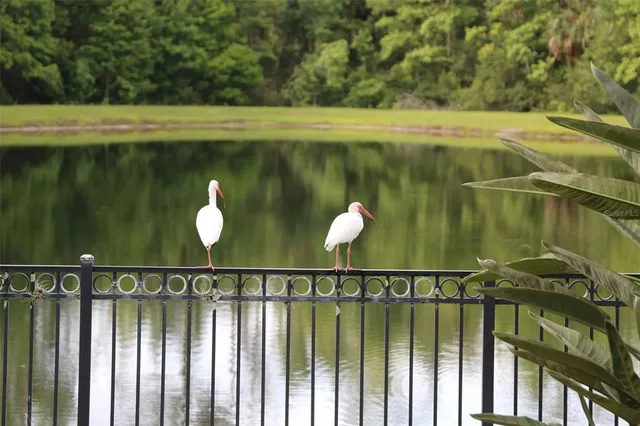 a view of a hardwood area