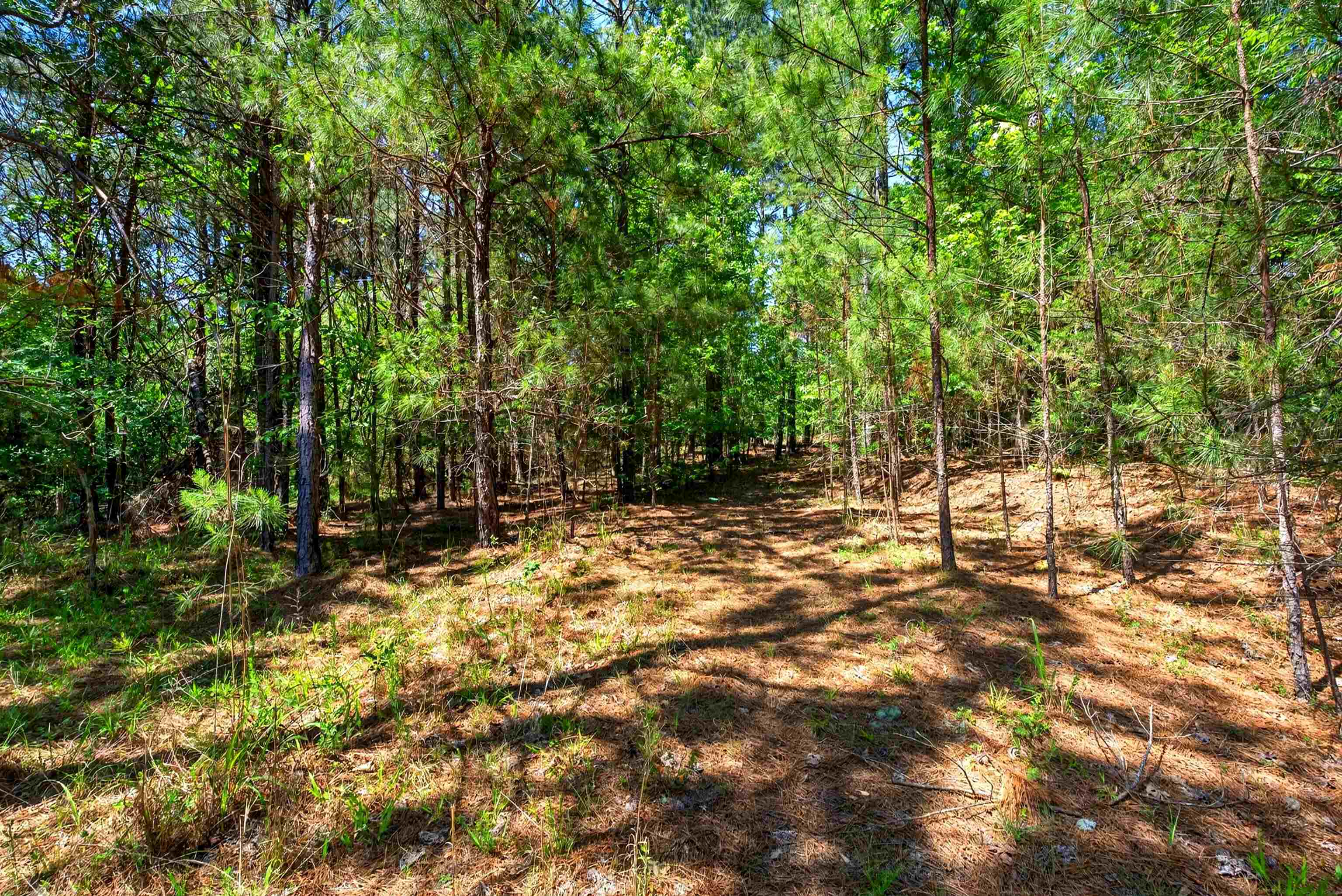 0 Gowdeysville Road Gaffney, SC 29340 - Photo 3 of 12