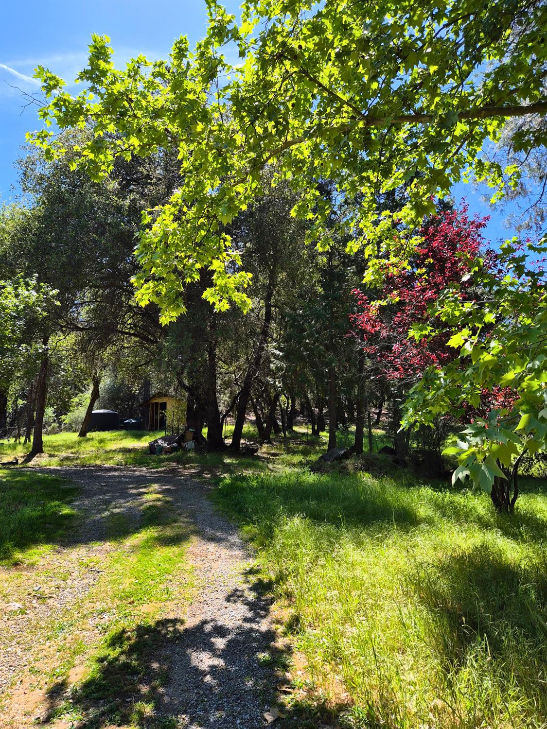 9568 Sheep Ranch Road Mountain Ranch, CA 95246 - Photo 29 of 35