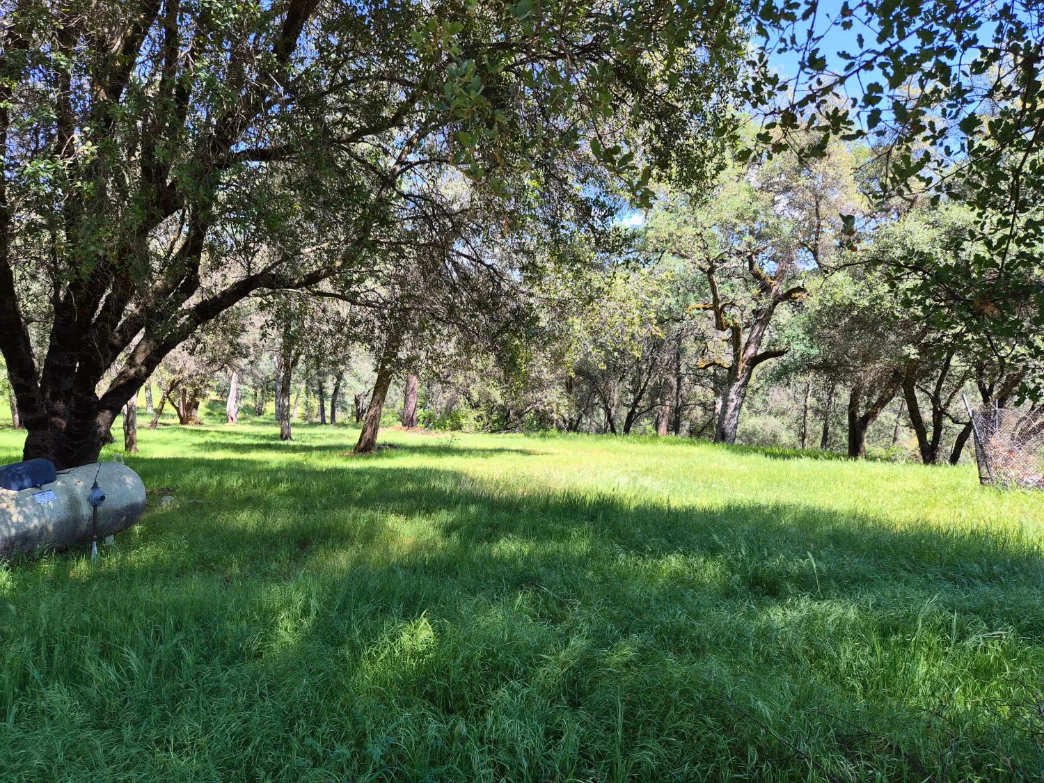 9568 Sheep Ranch Road Mountain Ranch, CA 95246 - Photo 30 of 35