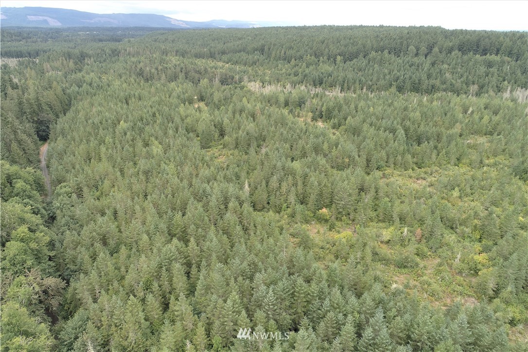 123 Tanwax Road South Roy, WA 98580 - Photo 3 of 20 Gallery Image 3