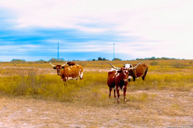 a view of swimming pool