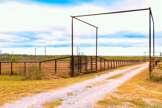 a view of yard with trees