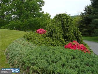 4121 Church View Road Emmaus, PA 18049 - Photo 2 of 12 Gallery Image 2
