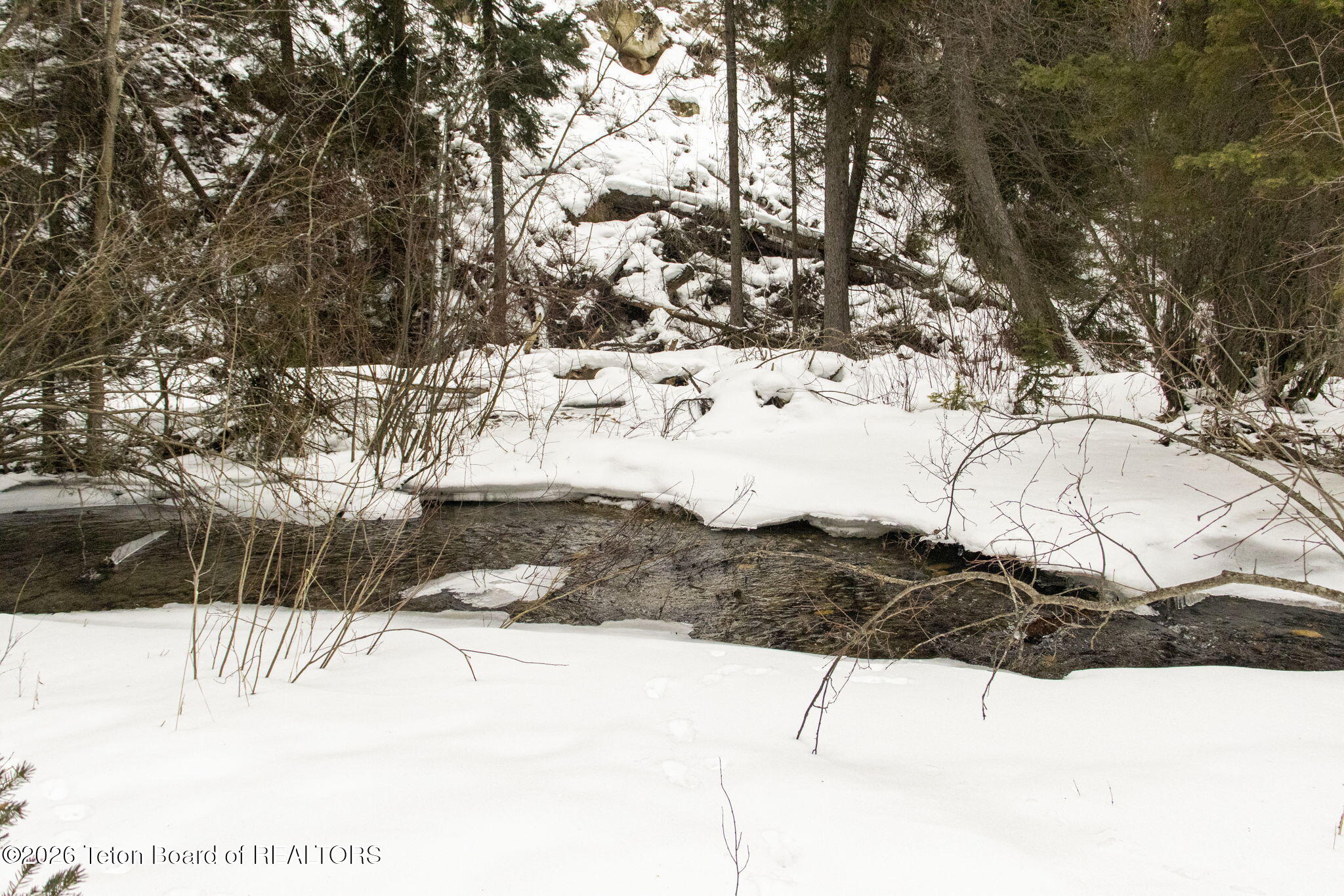 1735 Overlook Way Victor, ID 83455 - Photo 8 of 83 84-web-or-mls-IMG_7576