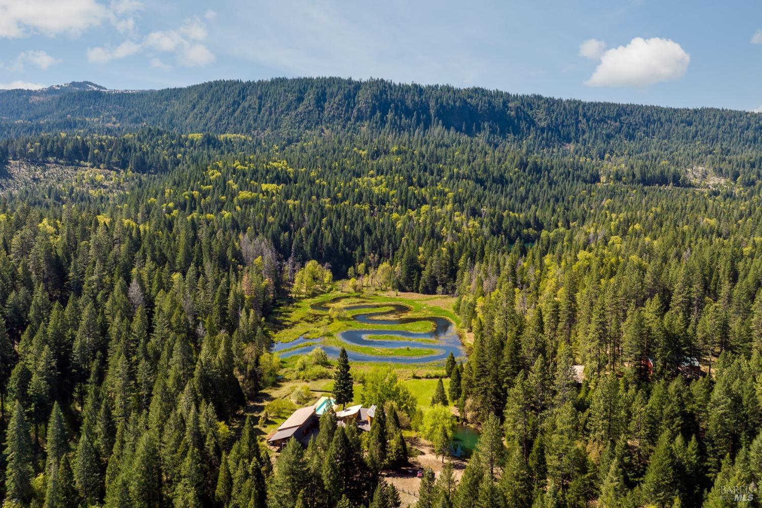 31419 Hagen Flat Road Montgomery Creek, CA 96011 - Photo 16 of 41