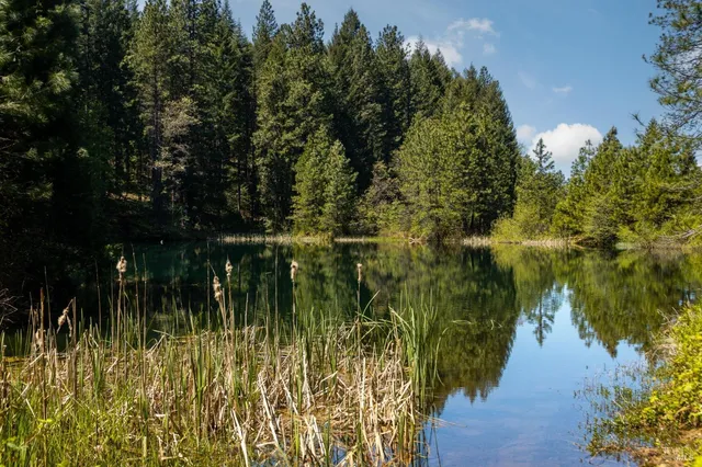 $5,900,000 | 31419 Hagen Flat Road, Montgomery Creek, CA 96065