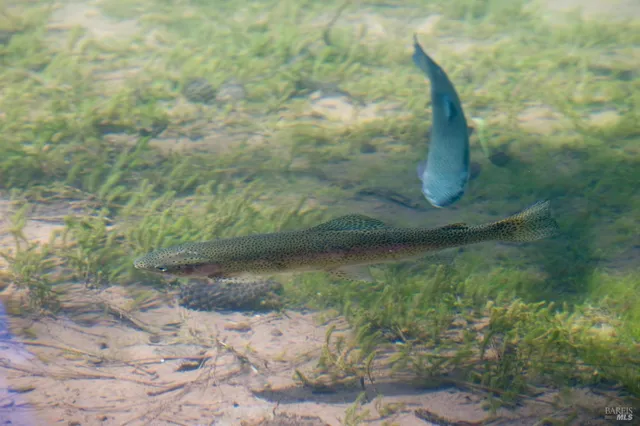 $5,900,000 | 31419 Hagen Flat Road, Montgomery Creek, CA 96065