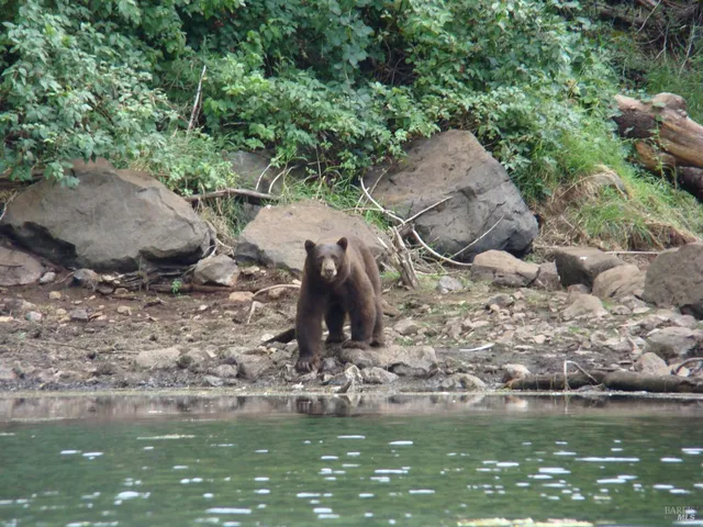 $5,900,000 | 31419 Hagen Flat Road, Montgomery Creek, CA 96065