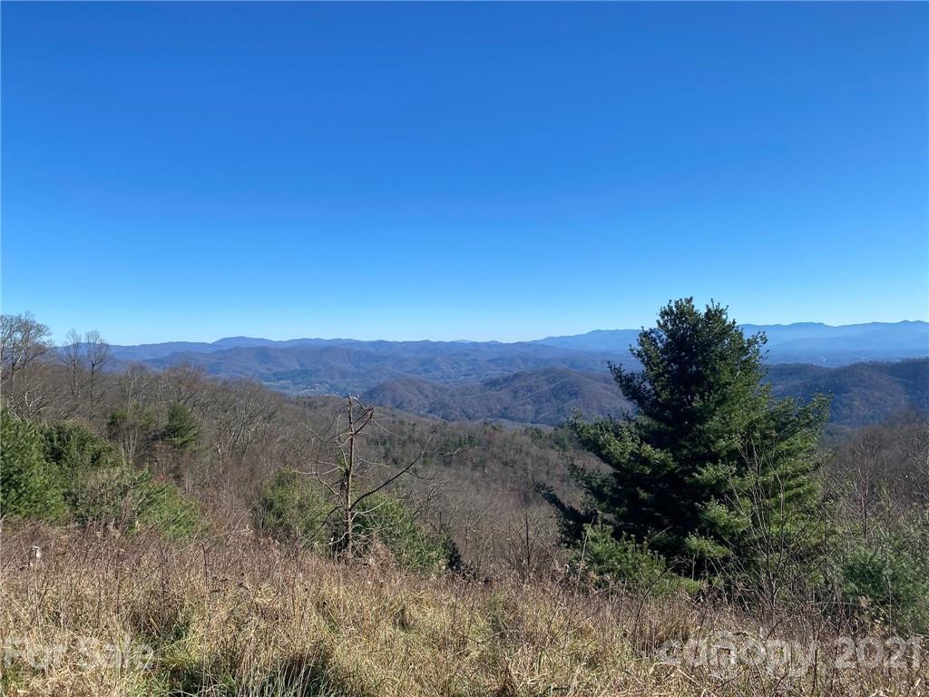 0 West Road Hot Springs, NC 28743 - Photo 1 of 47 Gallery Image 1