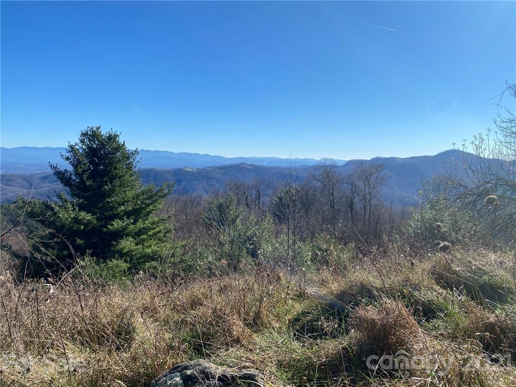 0 West Road Hot Springs, NC 28743 - Photo 27 of 47 Gallery Image 27