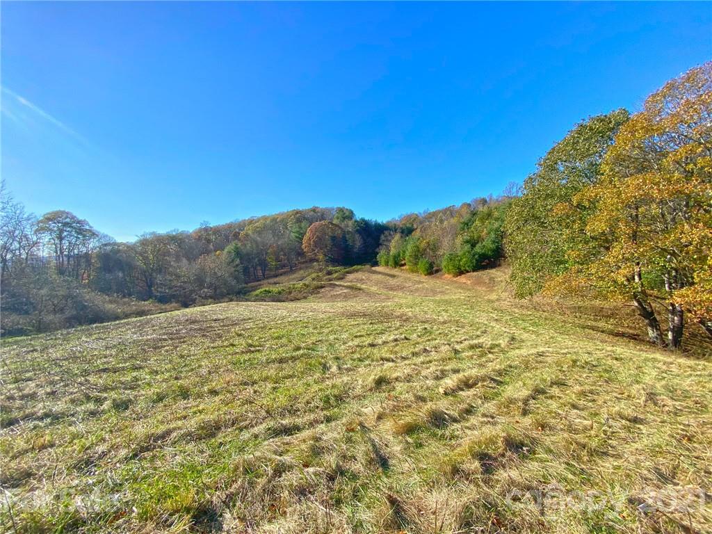 0 West Road Hot Springs, NC 28743 - Photo 29 of 47 Gallery Image 29