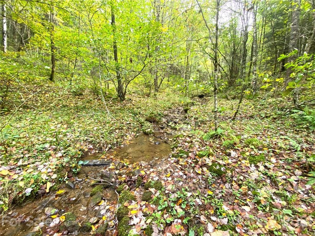 0 West Road Hot Springs, NC 28743 - Photo 3 of 47 Gallery Image 3