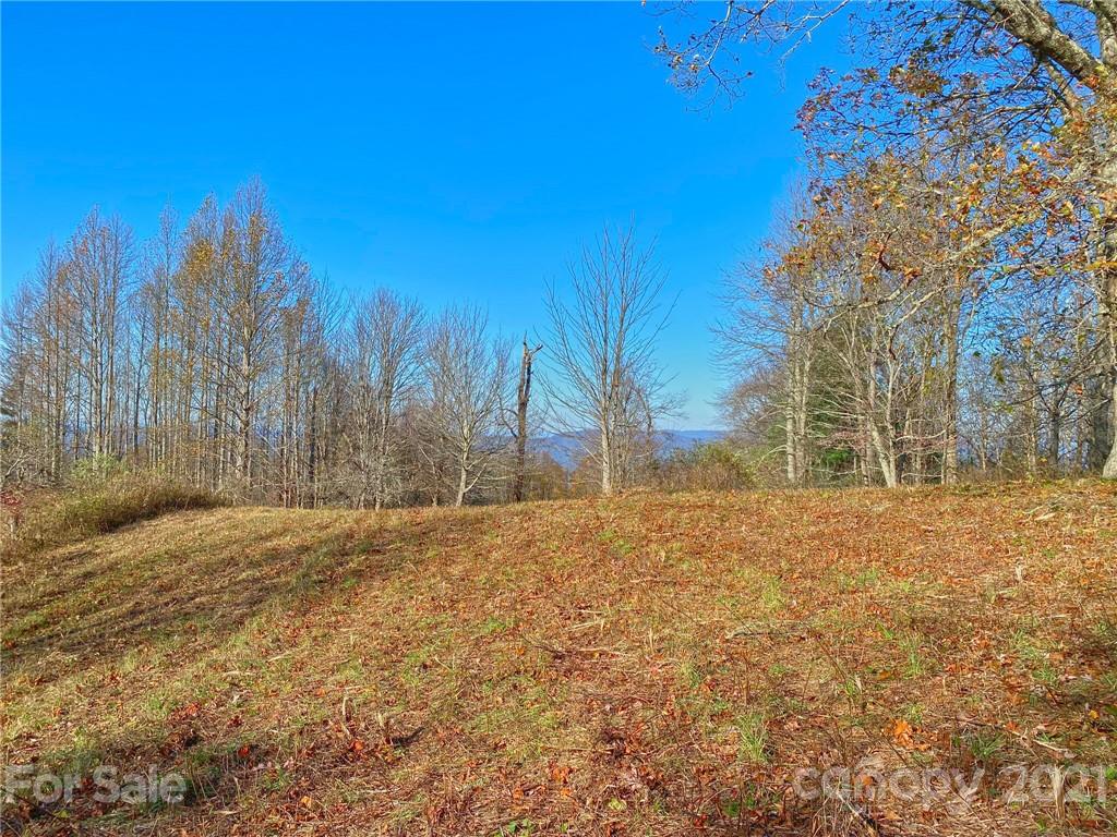 0 West Road Hot Springs, NC 28743 - Photo 31 of 47 Gallery Image 31