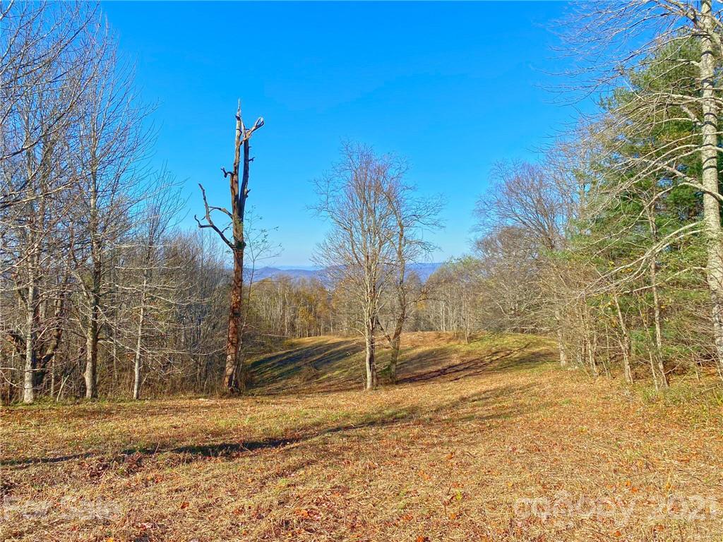 0 West Road Hot Springs, NC 28743 - Photo 33 of 47 Gallery Image 33