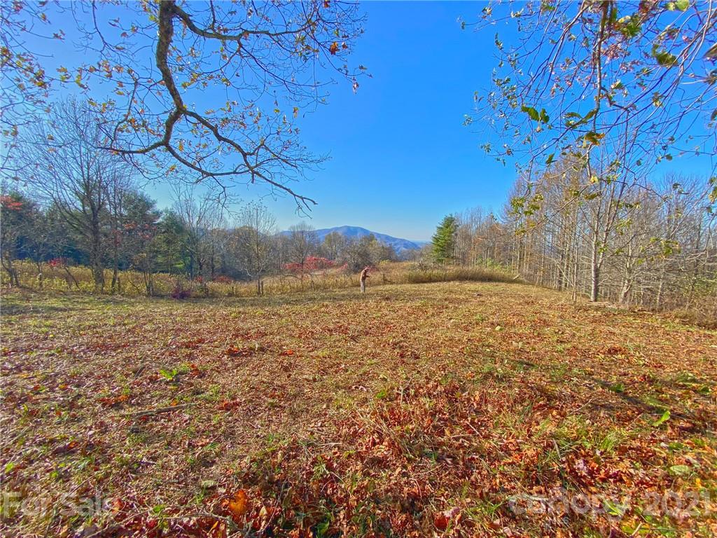 0 West Road Hot Springs, NC 28743 - Photo 36 of 47 Gallery Image 36